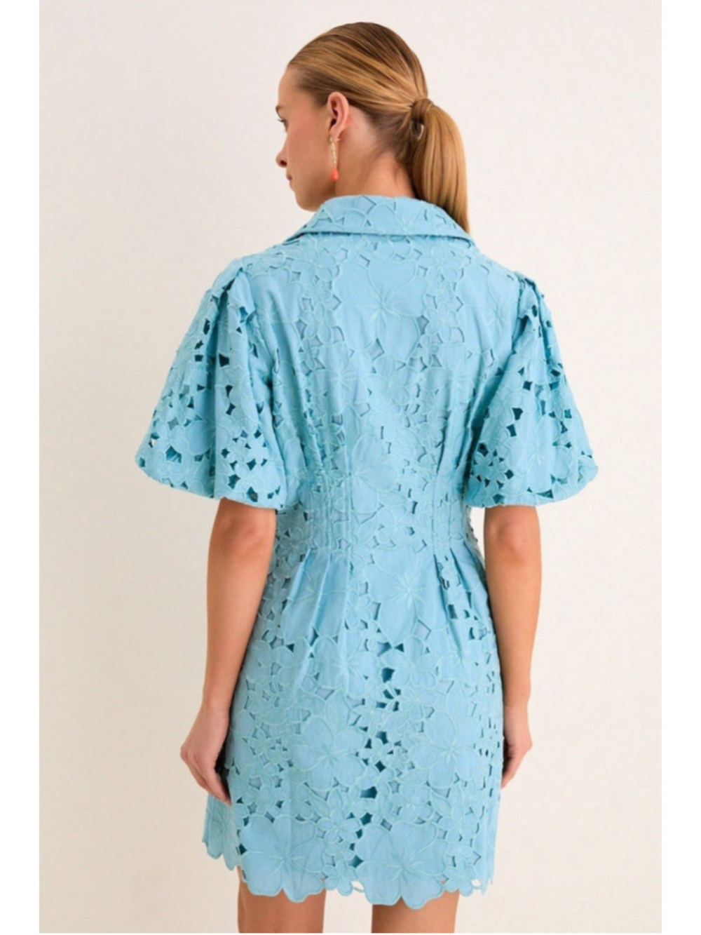 Tuckernuck Cameo Blue Collar Eyelet Mini Delaney Dress L Puff Sleeves Scallop - Picture 5 of 12